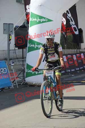 SERGIO GOMEZ AMORES Talajara 2015 14706