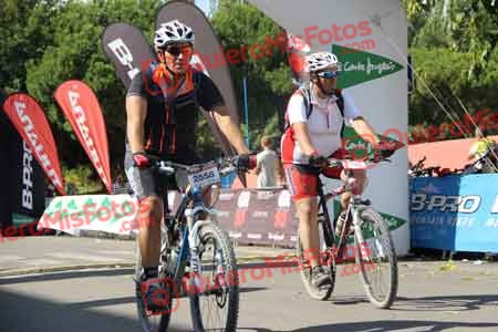 PEDRO GALLARDO DIAGO Talajara 2015 15867