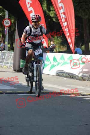 PEDRO MARTIN TELLEZ Talajara 2015 17196