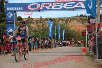 JORDI PAINOUS ESCOFET Monegros 2015 46425