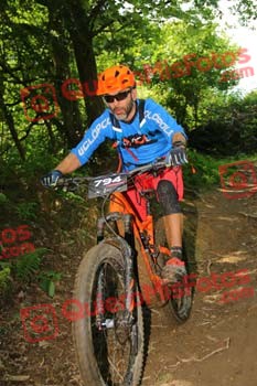GONZALO ELVIRA FERNANDEZ Pdh 2017 3 06179