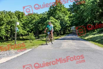 CIRIACO RUPEREZ DE LEONARDO Riaza 2019 13791