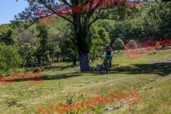 RAUL ZEID JAN Riaza 2019 15822