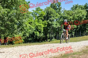 PEDRO MARTIN Riaza 2019 15873