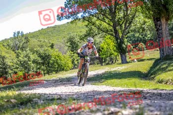 JAVIER GASCON Riaza 2019 16116