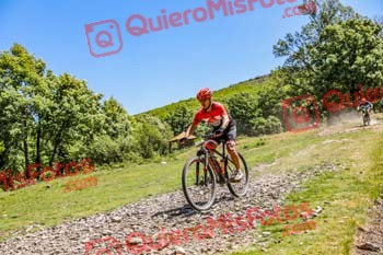 RAFAEL MOTA SALES Riaza 2019 16290