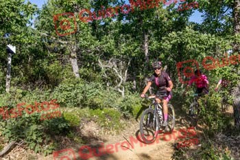PILAR IZQUIERDO SAIZ Riaza 2019 50259