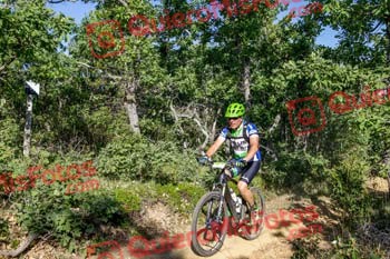 GUSTAVO HERNANDEZ CASILLAS Riaza 2019 50294