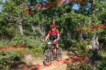 SANTIAGO BAJO HERNANDEZ Riaza 2019 50485