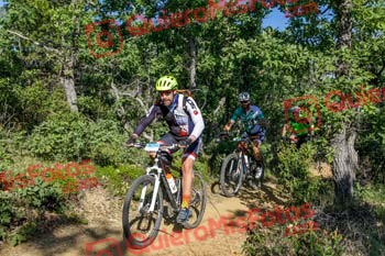 JORGE CORTES FERNANDEZ Riaza 2019 50516