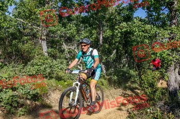 JACINTO PARRA HERNANDEZ Riaza 2019 50536