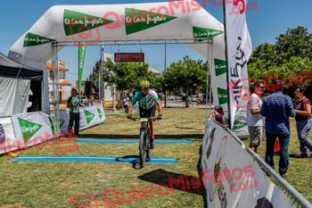 FRANCISCO JAVIER BODEGA MOLINA Riaza 2019 07656