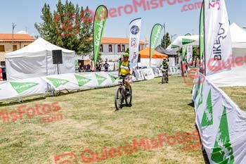 DAVID ALVAREZ PALOMO Riaza 2019 52483