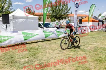 TOMAS DOMINGUEZ ARRABAL Riaza 2019 52846