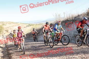 JOSE LUIS SALGADO VEGA Talajara 2019 7 02781