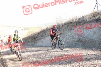 Talajara 2019 7 02839