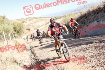 GUSTAVO ELEZ GONZALEZ Talajara 2019 7 03221