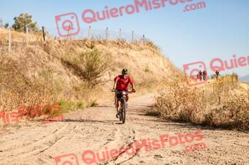 JUAN JUSTICIA DOMINGUEZ Talajara 2019 7 03636
