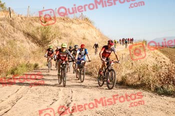 JOSE IGNACIO MORENO NOVELLA Talajara 2019 7 03796