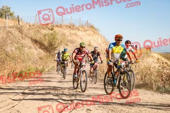 JORGE HERNANDEZ GOMEZ Talajara 2019 7 03817