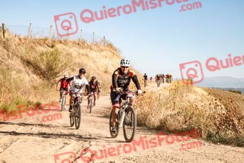JESUS ALVIAT GRECIANO Talajara 2019 7 03973