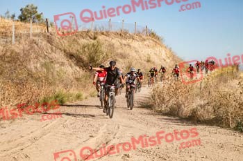 PEDRO CUBERO COLLADO Talajara 2019 7 04513