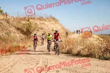 JOSE MIGUEL MORENO PASCUAL Talajara 2019 7 04842