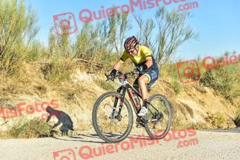 MIGUEL ANGEL HIGELMO RODRIGUEZ Talajara 2019 7 09914