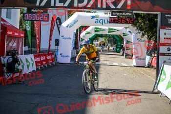 LUIS ENRIQUE GOMEZ DOMINGUEZ Talajara 2019 5 04940