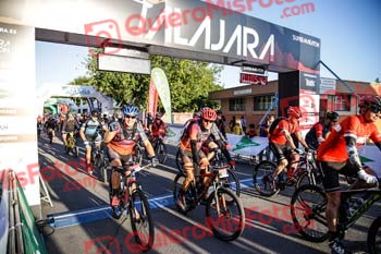 Talajara 2019 7 00209