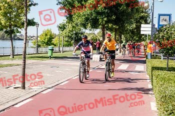 PEDRO JAVIER MAYORGA GOMEZ-LOBO Talajara 2019 7 05087