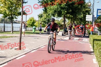 VICENTE BETETA ARENAS Talajara 2019 7 05110