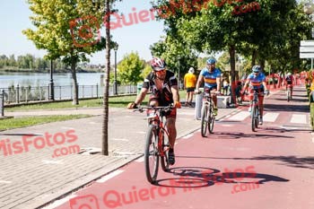 JOSE MARIA TELO GONZALEZ Talajara 2019 7 05547