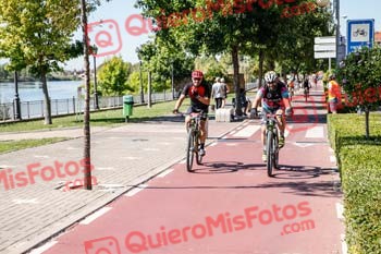 ANGEL LUIS FLORES MARTIN Talajara 2019 7 05708