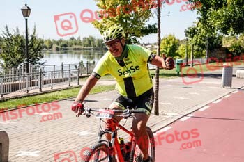 FRANCISCO OZAEZ CANO Talajara 2019 7 06016