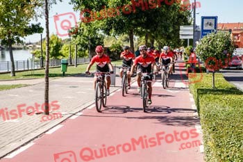 RAFAEL MOTA SALES Talajara 2019 7 06535