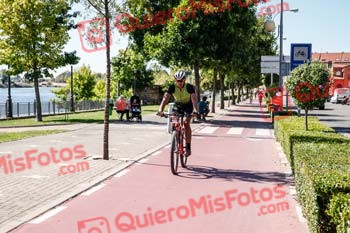 JESUS SERRANO PEREZ Talajara 2019 7 07291