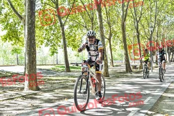 FRANCISCO RAMOS RODRIGUEZ Talajara 2019 7 13380