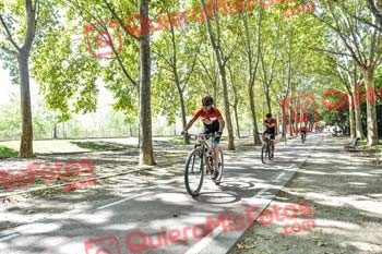 RAUL MARTIN LICERAS Talajara 2019 7 13426