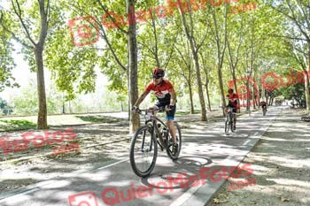 RAUL MARTIN LICERAS Talajara 2019 7 13427
