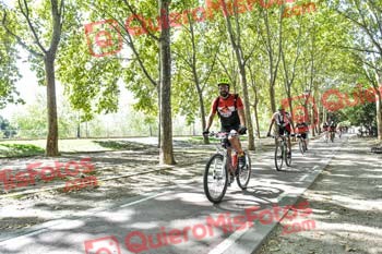 JORGE CORTES FERNANDEZ Talajara 2019 7 13448