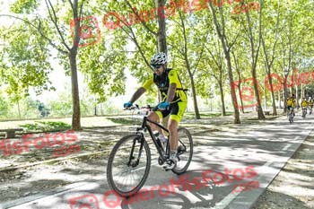 PEDRO LUIS MARTIN PEREZ Talajara 2019 7 13494