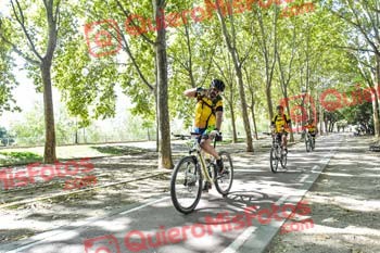 FRANCISCO SAEZ MARTINEZ Talajara 2019 7 13497