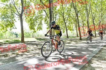 RAUL VICENTE PRIETO Talajara 2019 7 13678