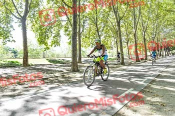 ALICIA ARJONA MORENO Talajara 2019 7 13795