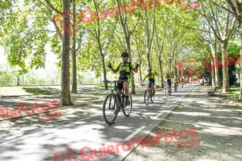 FERNANDO FERNANDEZ FUENTES Talajara 2019 7 13805