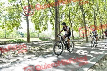 JULIAN ROBLES DE LA RIVA Talajara 2019 7 14041