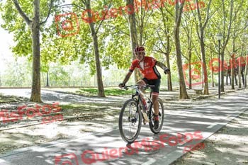 ENRIQUE GALLEGO CABANILLAS Talajara 2019 7 14594
