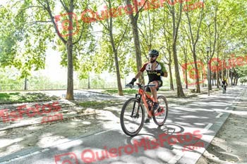 JOSE CARLOS HERNANDEZ GOMEZ Talajara 2019 7 14823