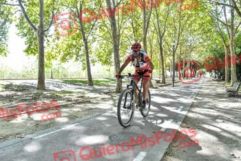 MANUEL RODRIGUEZ TENDERO Talajara 2019 7 15165